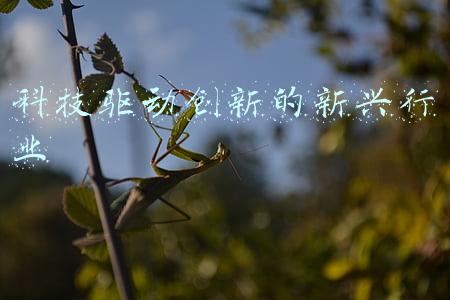 莲谷新兴科技产业园(企业服务云)