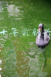 美国十年前新兴行业