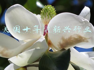 美国十年签证evus官网(出行提示：美国10年签证新规定 中国游客赴美需在EVUS系统登记 2016年11月1日起)