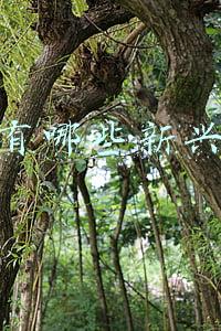 海南有什么产业(海南：“四大产业”推动经济高质量发展)