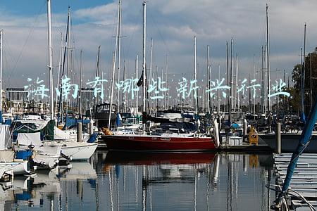 海南三大产业分别是什么(2021年海南“3+1”主导产业发展交出靓丽成绩单)