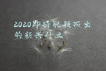 2020即将脱颖而出的新兴行业