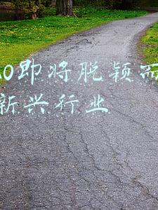 2020即将脱颖而出的新兴行业