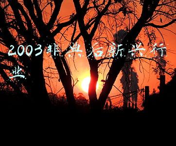 2003非典后新兴行业