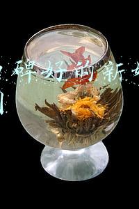 上海比较好的新媒体公司(上海政务新媒体2021年12月传播影响力榜单发布)