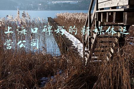 上海驾校口碑排名前十(许多人还不知道！这样选择上海驾校最便捷、最靠谱，这份实用干货赶紧收藏)