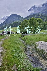 欧米茄表号官方查询(漫长等待 入手欧米茄新队长)