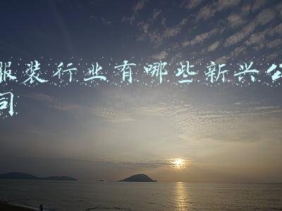 服装行业有哪些新兴公司