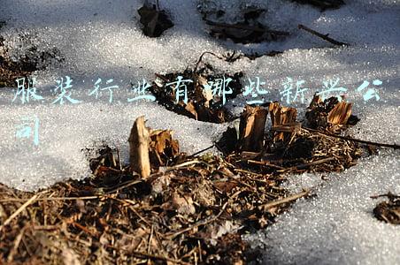 服装行业有哪些新兴公司