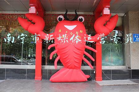 南宁市新媒体运营专员