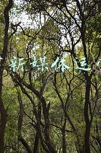 南宁市新媒体运营专员
