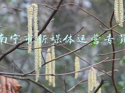 南宁市新楼盘房价(南宁青秀东盟商务区房价迈入“1万+”，最贵的小区均价超过3万/平)