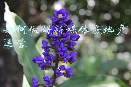 房地产新媒体营销推广方案(房地产行业怎么通过线上推广获客)