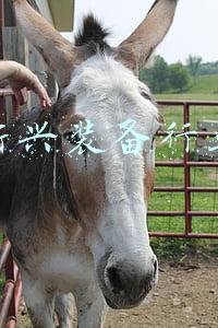 新兴装备行业