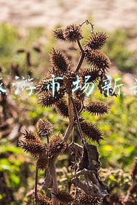 旅游业趋势(回首2021，全球旅游业重启如履薄冰，反复试探)