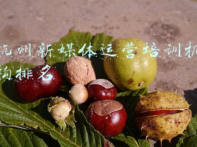 杭州新媒体运营培训机构排名