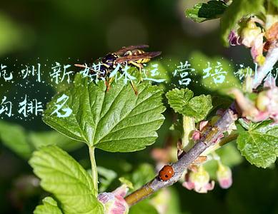 杭州前端培训机构(杭州有没有正规Web前端培训机构？)