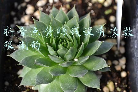 抖音点赞赚钱没有次数限制的