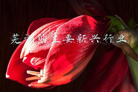 芜湖的主要新兴行业