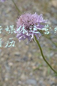 没有新媒体运营经验怎么投简历