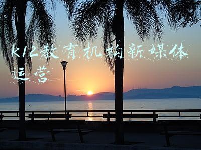 k12教育机构新媒体运营