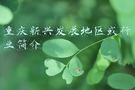 重庆的主要产业(经济韧性解密⑥｜八大支柱产业均“转正”重庆工业如何“化危为机”炼就韧性竞争力？)