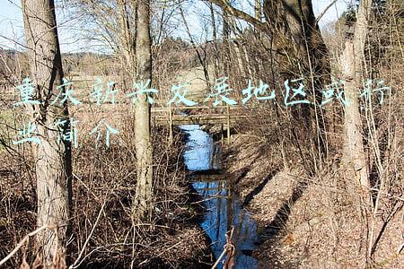 重庆新兴发展地区或行业简介