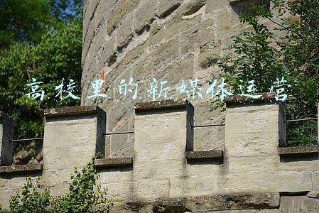 高校新媒体中心(在冰雪的世界里，有一群“蓝精灵”——记北京冬奥会和冬残奥会主媒体中心志愿者团队)
