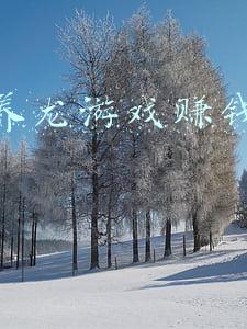 养龙寺地藏网页游戏(仙梦奇缘打折推荐｜养龙寺地藏入阵曲这个游戏到底出了多少名字)