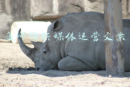 康师傅新媒体运营文案