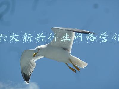 网络营销的六大新特征(网络营销的优势)
