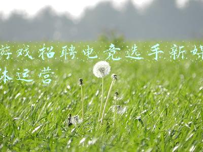 游戏招聘电竞选手新媒体运营