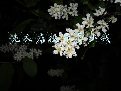 开个洗衣店大概要多少费用 开个洗衣店大概需要多少钱