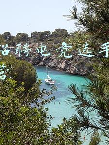 电竞选手的学历要求(电竞专业首届毕业生揭秘：报考准入资格仅2%，要学的不止打游戏)
