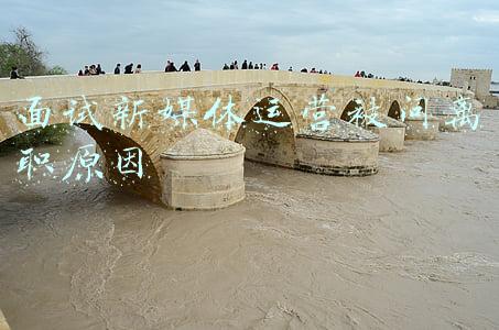 面试新媒体运营被问离职原因