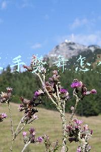 抖音里手势舞怎么赚钱