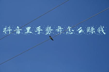 抖音里手势舞怎么赚钱