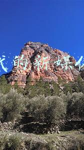 新时代的新体现在哪些方面(面试热点：层出不穷的“新共享”，是新时代新需求的体现)