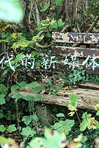 新时代的新媒体运营