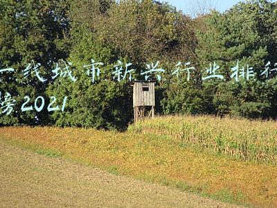 2021新一线城市排名(2021年多了15个一线城市？)