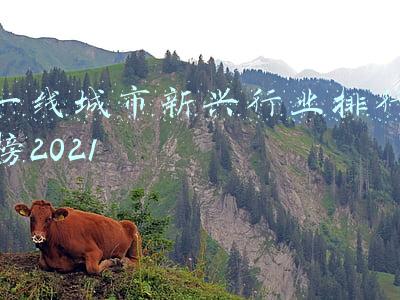 新兴产业城市排名(年度报告 | 2021年十大焦点城市)
