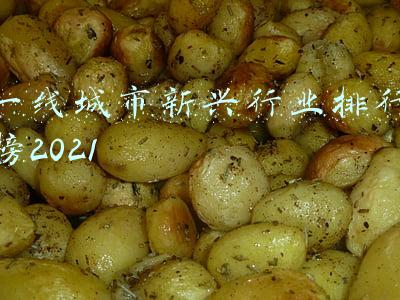 全球一线城市排行榜(世界一线城市排名，超越Alpha级别的9个城市，中国有3个)