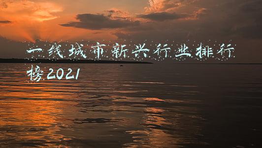 一线城市新兴行业排行榜2021