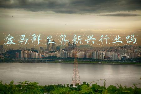 盒马鲜生算新兴行业吗