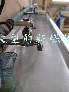成都大型的新媒体运营