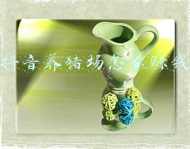 抖音养猪场怎么赚钱