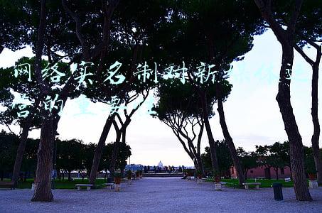 网络实名制的法律依据(《网络安全法》主要内容解读)