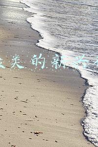 新兴人类蛋白固体饮料(过完年肥一圈？扒一扒网红代餐粉)