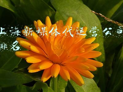 上海消防新媒体(静安消防做客上海交通广播电台，畅聊“我为群众办实事”)