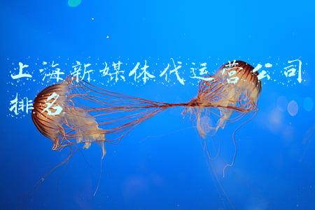 上海东方龙新媒体(东方明珠新媒体股份有限公司关于 公开挂牌转让上海东方龙新媒体有限公司 50%股权暨引入战略投资者 之完成工商变更登记的公告)